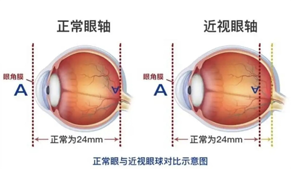 微信图片_2025-09-26_104212_205.jpg