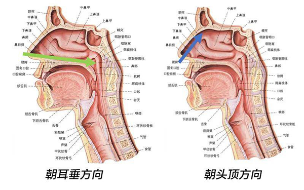 图片8.jpg