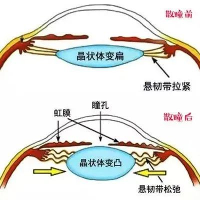 图片-2.jpg