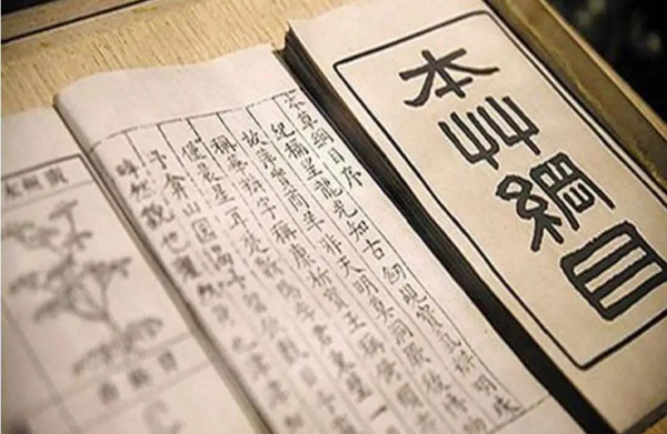 图片 6.jpg