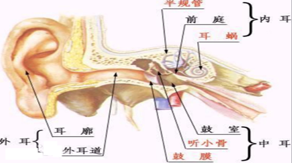 图片-4.jpg