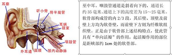 图片-6.jpg