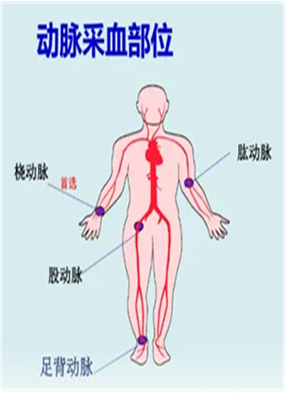 图片-2.jpg