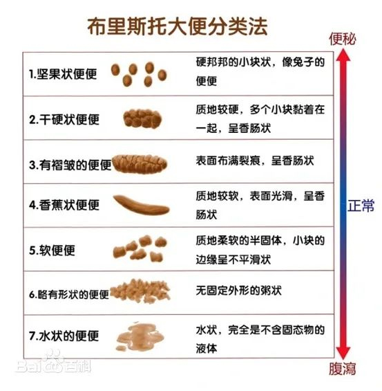 图片-4.jpg