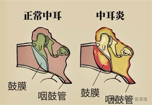 微信图片_20241218093710.jpg