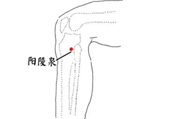 微信图片_20250319102234.jpg