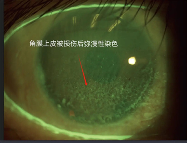 微信图片_20250411135824.jpg