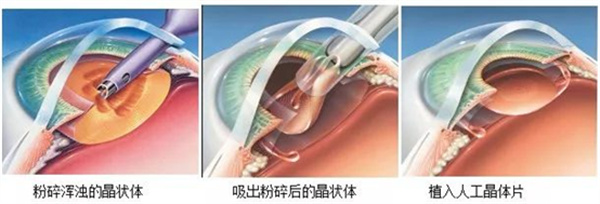 微信图片_20250417131140.jpg