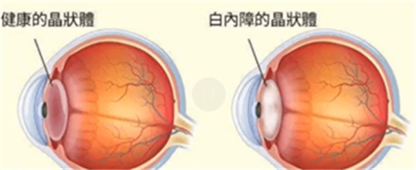 微信图片_20250422163404.jpg