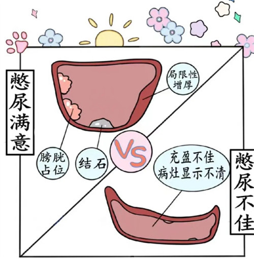 微信图片_20250424095232.jpg