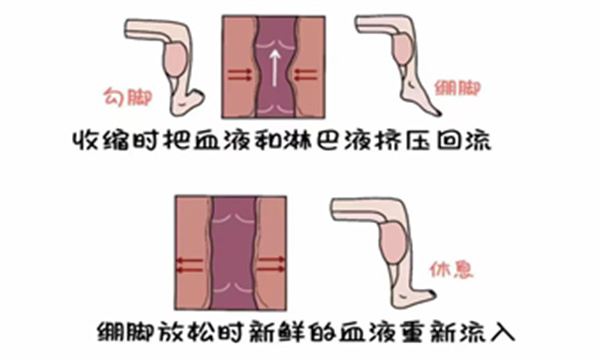 微信图片_20250605163321.jpg