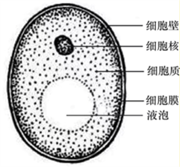 微信图片_20250619102134.jpg