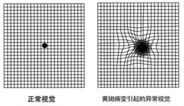 微信图片_2025-09-04_110542_446.jpg