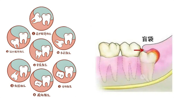 微信图片_2025-11-05_101220_789.jpg 微信图片_2025-11-05_101220_789.jpg