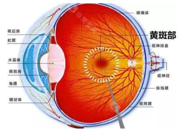 微信图片_2025-11-14_094320_703.jpg 微信图片_2025-11-14_094320_703.jpg