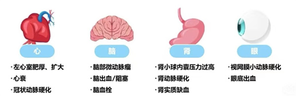 微信图片_2025-11-14_103907_141.jpg 微信图片_2025-11-14_103907_141.jpg