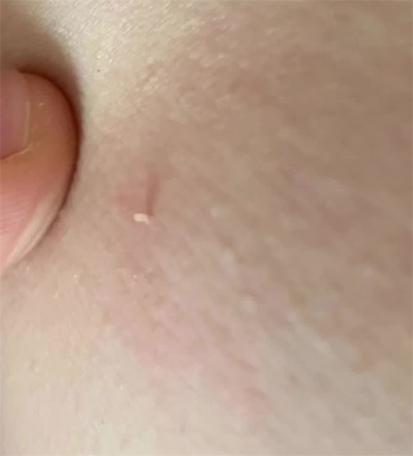 微信图片_2026-01-23_111247_350.jpg 微信图片_2026-01-23_111247_350.jpg