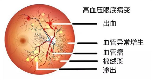 微信图片_2026-03-16_114227_531.jpg 微信图片_2026-03-16_114227_531.jpg