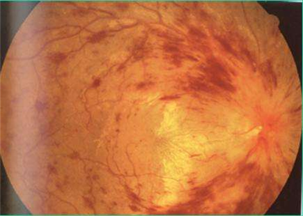 微信图片_2026-03-16_114232_652.jpg 微信图片_2026-03-16_114232_652.jpg