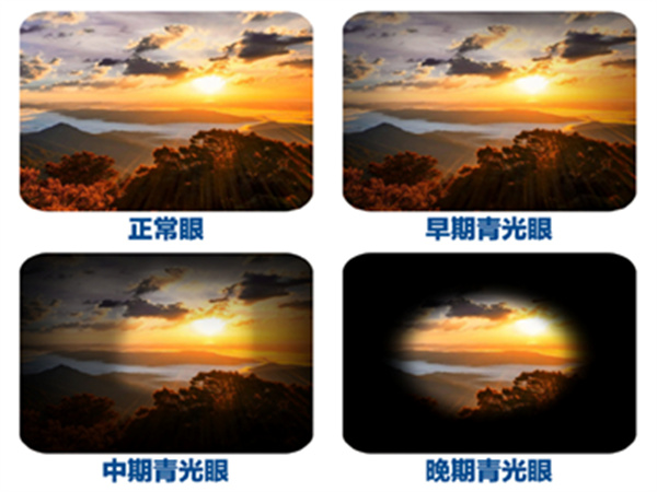 微信图片_2026-03-16_114109_306.jpg 微信图片_2026-03-16_114109_306.jpg