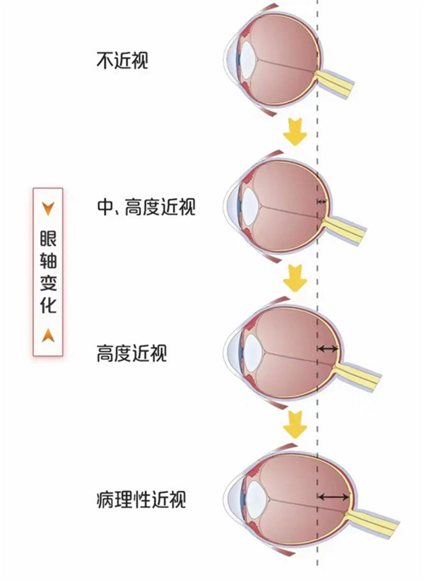 微信图片_2026-07-16_171854_093.jpg 微信图片_2026-07-16_171854_093.jpg